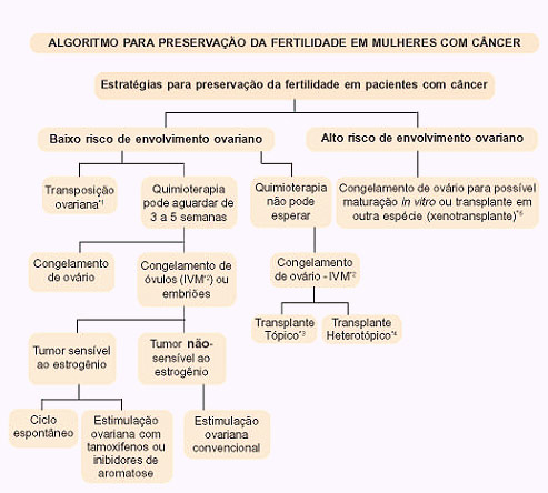 Algoritimo para Preservação da Fertilidade mulheres com câncer